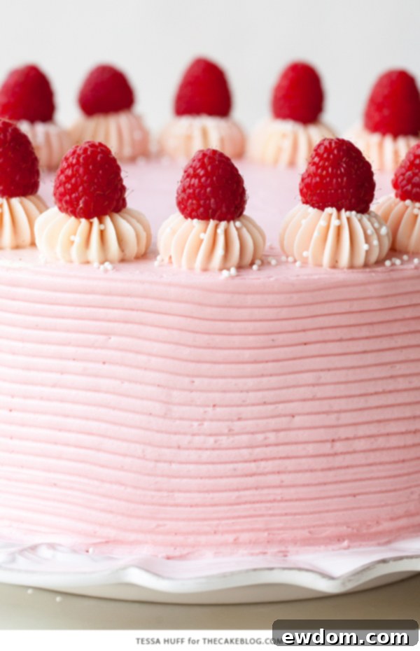 Chocolate Raspberry Cake - moist chocolate cake layered with raspberry jam, topped with raspberry cheesecake frosting and fresh red raspberries | by Tessa Huff for TheCakeBlog.com