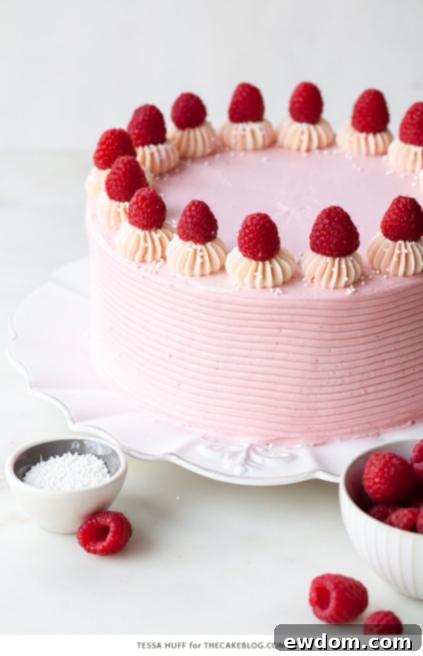 Chocolate Raspberry Cake - moist chocolate cake layered with raspberry jam, topped with raspberry cheesecake frosting and fresh red raspberries | by Tessa Huff for TheCakeBlog.com