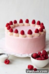 Chocolate Raspberry Cake