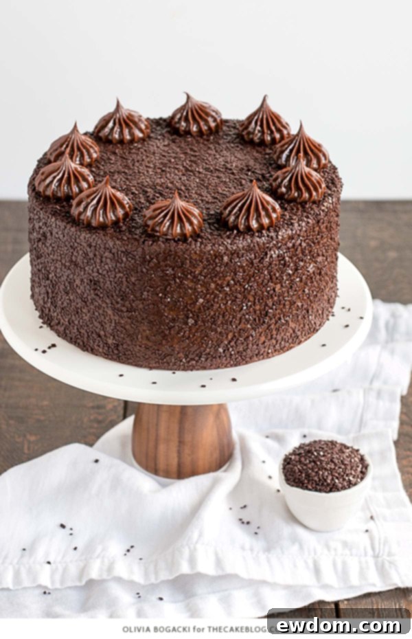 chocolate-truffle-cake-8Chocolate Truffle Cake - a chocolate layer cake recipe with dense, moist chocolate cake, silky chocolate truffle frosting and chocolate flakes | by Olivia Bogacki for TheCakeBlog.com