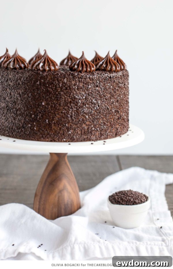 Chocolate Truffle Cake - a chocolate layer cake recipe with dense, moist chocolate cake, silky chocolate truffle frosting and chocolate flakes | by Olivia Bogacki for TheCakeBlog.com