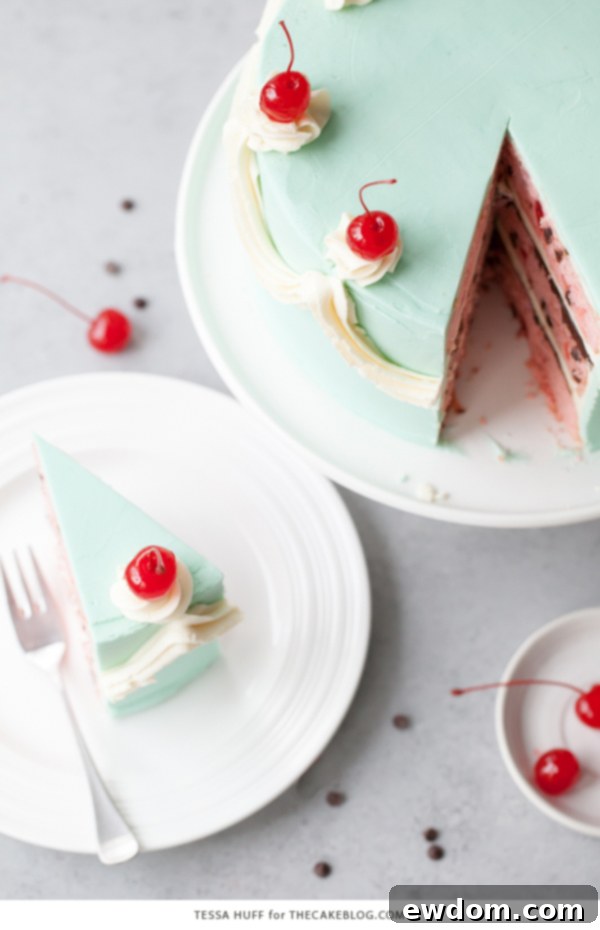 Another view of the Cherry Chip Cake with blue frosting and cherry decorations