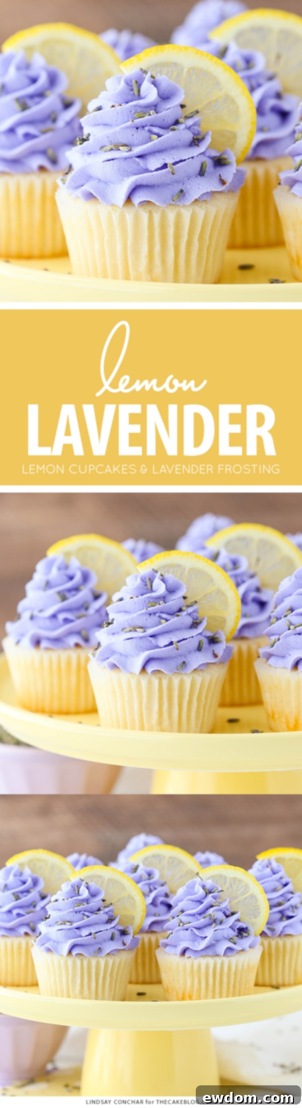 Lemon Lavender Cupcakes - easy lemon cupcakes with a light lavender frosting | by Lindsay Conchar for TheCakeBlog.com