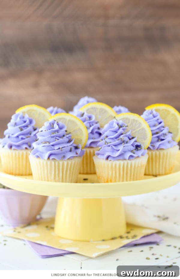 Lemon Lavender Cupcakes - easy lemon cupcakes with a light lavender frosting | by Lindsay Conchar for TheCakeBlog.com