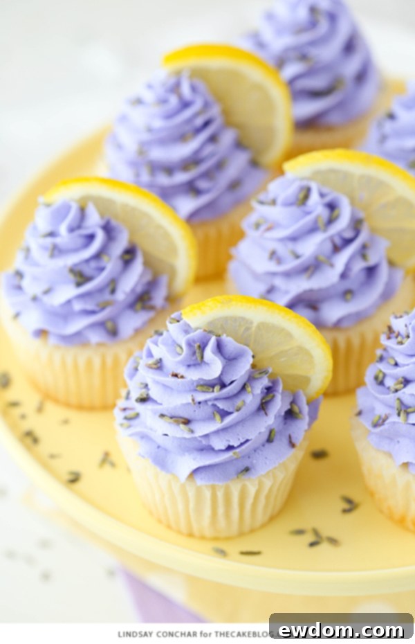 Lemon Lavender Cupcakes - easy lemon cupcakes with a light lavender frosting | by Lindsay Conchar for TheCakeBlog.com