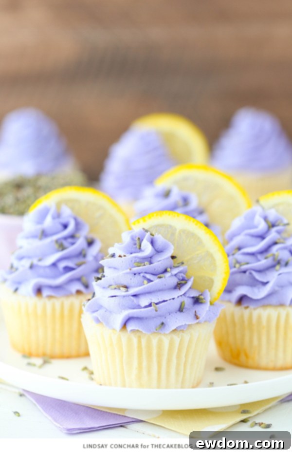 Lemon Lavender Cupcakes - easy lemon cupcakes with a light lavender frosting | by Lindsay Conchar for TheCakeBlog.com