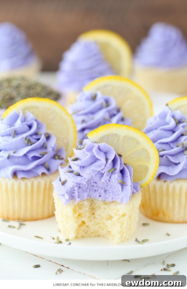 Lemon Lavender Cupcakes - easy lemon cupcakes with a light lavender frosting | by Lindsay Conchar for TheCakeBlog.com