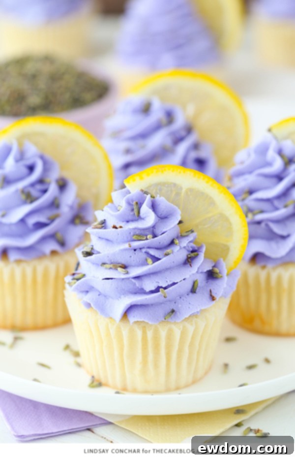Lemon Lavender Cupcakes - easy lemon cupcakes with a light lavender frosting | by Lindsay Conchar for TheCakeBlog.com