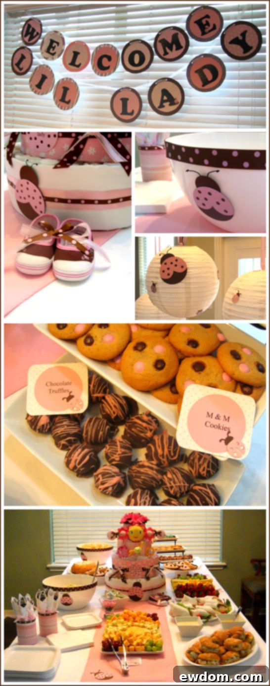 Ladybug Baby Shower in Pink & Brown - Favor Bar Details