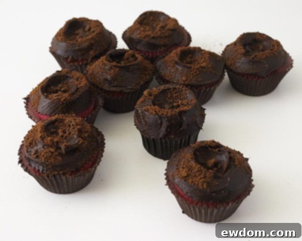 Cupcakes frosted with chocolate icing and sprinkled with cookie crumbs, ready for edible vegetables
