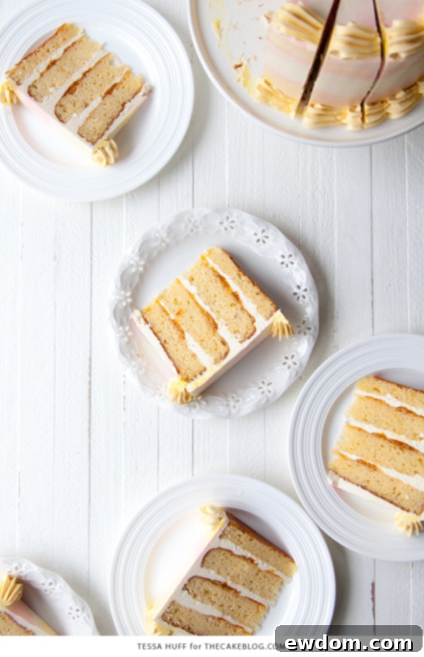 Another beautiful shot of the finished Lemon Honey Apricot Cake