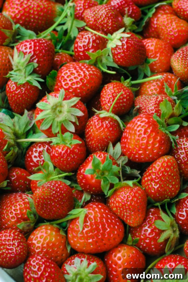 A child's hands picking ripe strawberries in a field on a sunny day