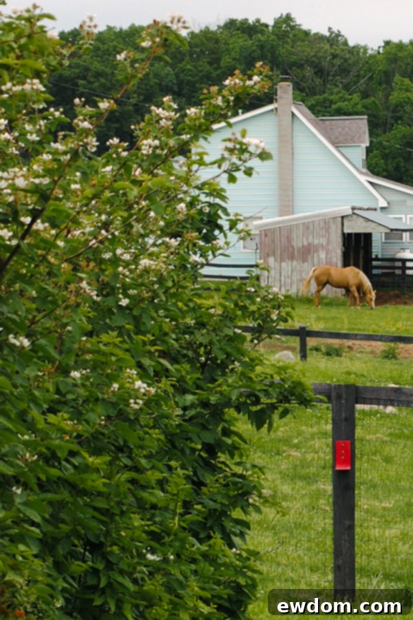 A child's small hand reaching out to pick a perfectly ripe strawberry