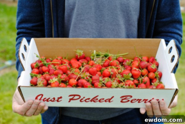 A young girl smiling brightly while holding a small basket filled with strawberries