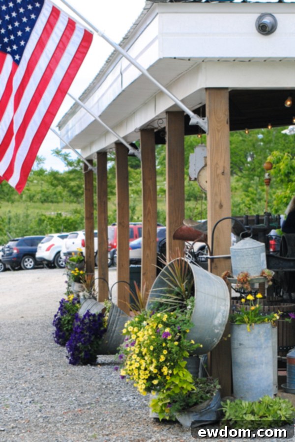 A close-up shot of several delicious red strawberries with green leaves
