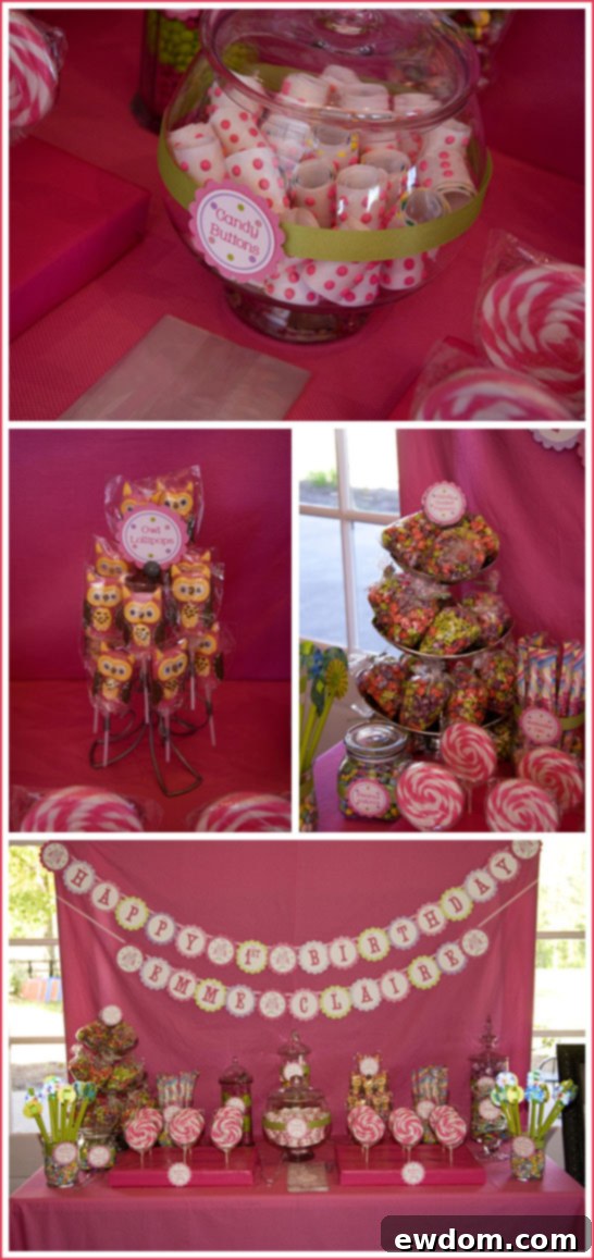 Owl Birthday Party Sweet Table