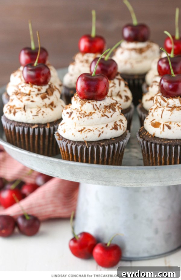 Moist Black Forest Cupcakes with Homemade Cherry Filling and Vanilla Whipped Cream