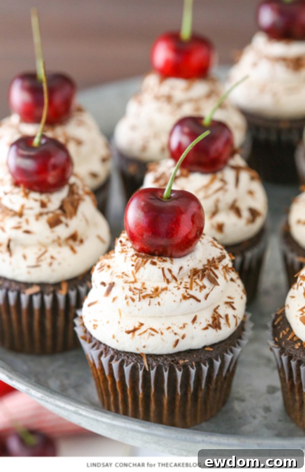 Delicious Black Forest Cupcakes with Fresh Cherries and Chocolate Shavings