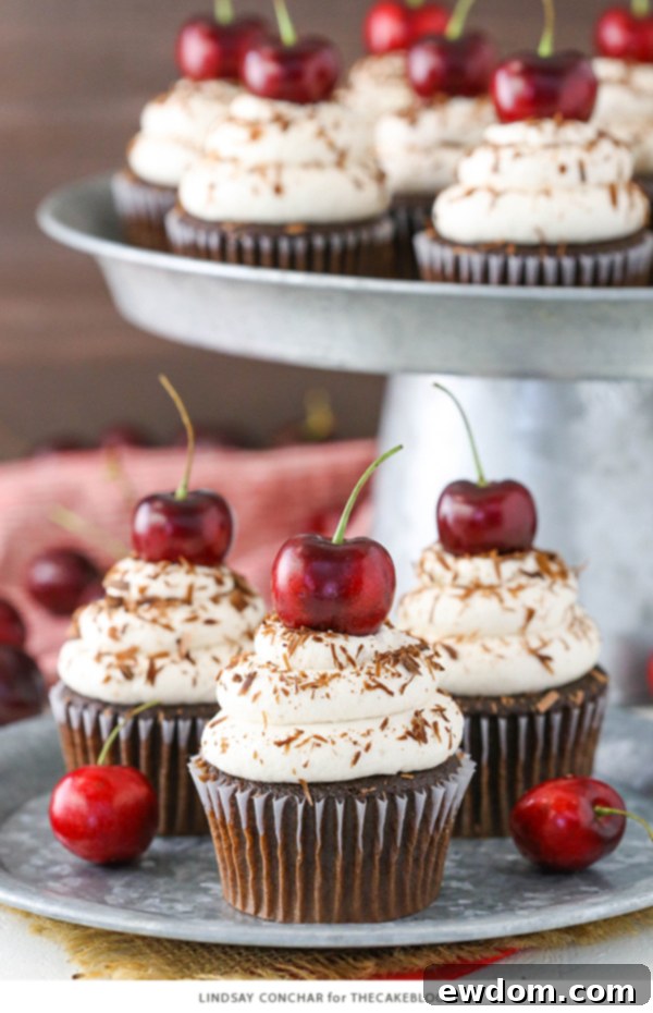 Close-up of Black Forest Cupcake Batter Ready for Baking