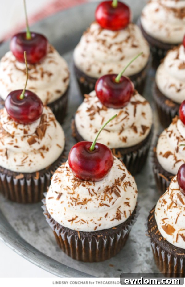 Finished Black Forest Cupcakes Garnished with Grated Chocolate and Cherries