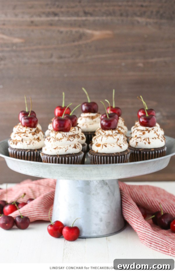 A tray of freshly baked Black Forest Cupcakes ready to be served