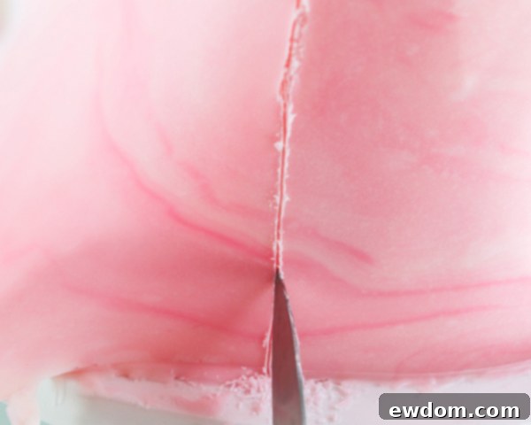 Zebra Chocolate Cake 25 Marbled Chocolate Cake - how to wrap a cake with marbled chocolate | by Erin Gardner for TheCakeBlog.com