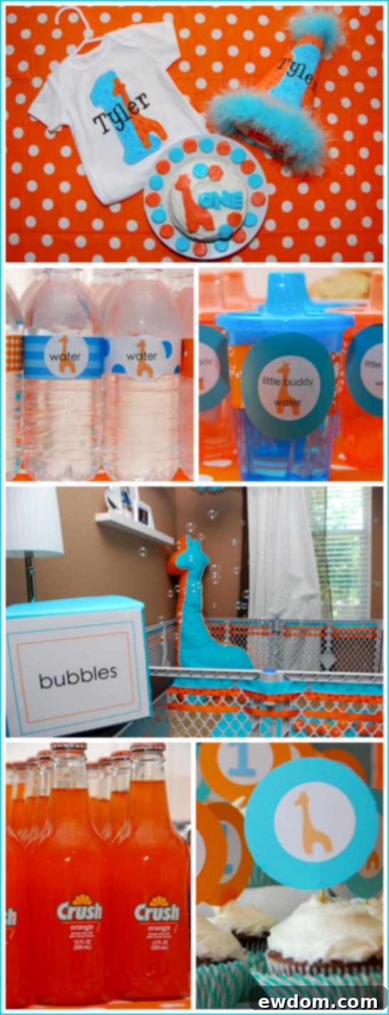 Giraffe First Birthday in Blue & Orange - Details