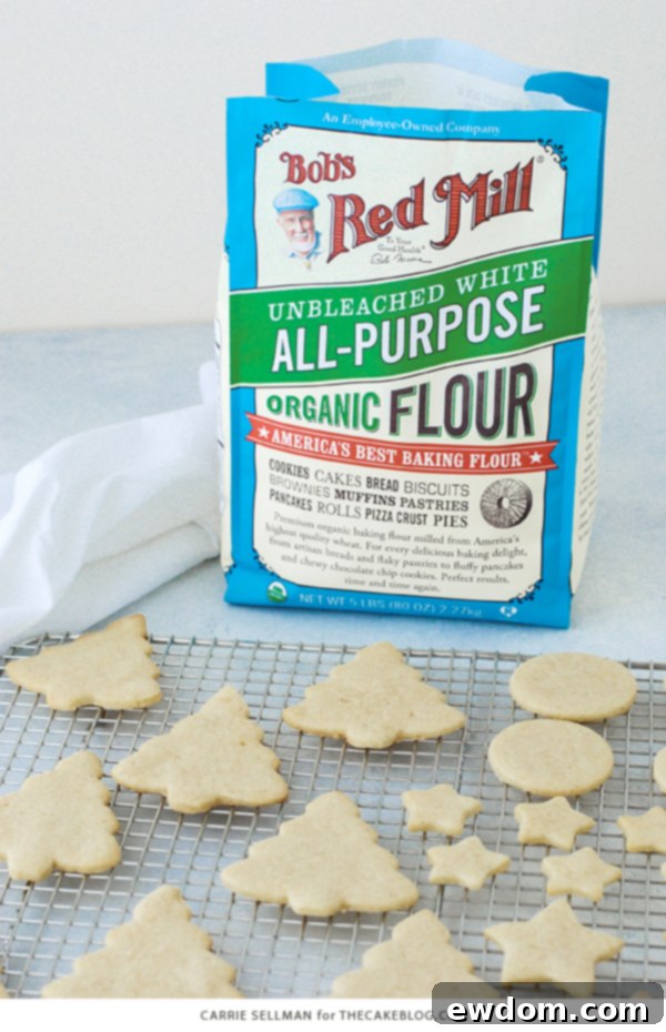 Sweet Cookie Canvas 9 Decorated Sugar Cookies - vanilla bean sugar cookies with a simple glaze icing for easy yet beautiful Christmas cookies | by Carrie Sellman for TheCakeBlog.com