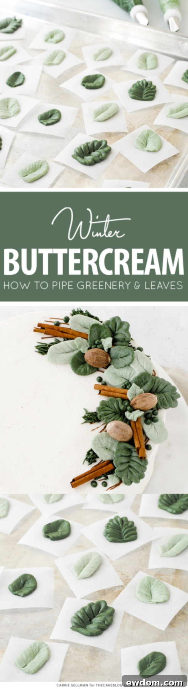 How to pipe buttercream greenery and leaves, with video | by Carrie Sellman for TheCakeBlog.com