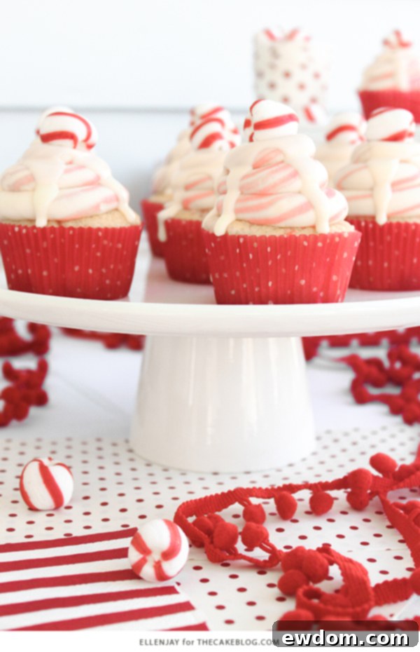 Beautifully swirled red and white peppermint buttercream on a white chocolate peppermint cupcake, drizzled with ganache and topped with a soft peppermint candy.