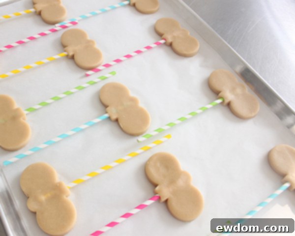 White royal icing prepared in a piping bag and a squeeze bottle, ready for use