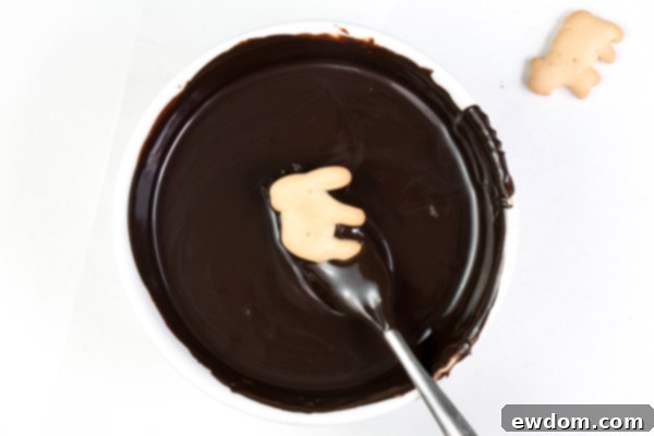Dipping an animal cracker into melted dark chocolate using a fork, ensuring a complete and even coating for the skeleton design | by Erin Gardner for TheCakeBlog.com
