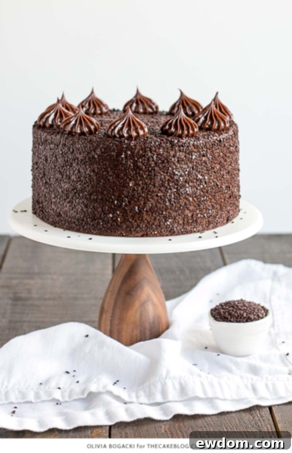 Chocolate Truffle Cake Recipe: Decadent and Moist Dessert for Chocolate Lovers