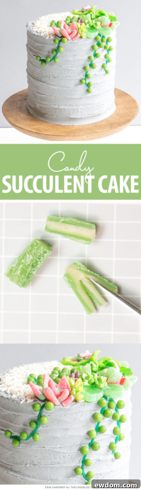 Candy Succulent Cake - how to make a succulent cake with edible candy succulents | by Erin Gardner for TheCakeBlog.com