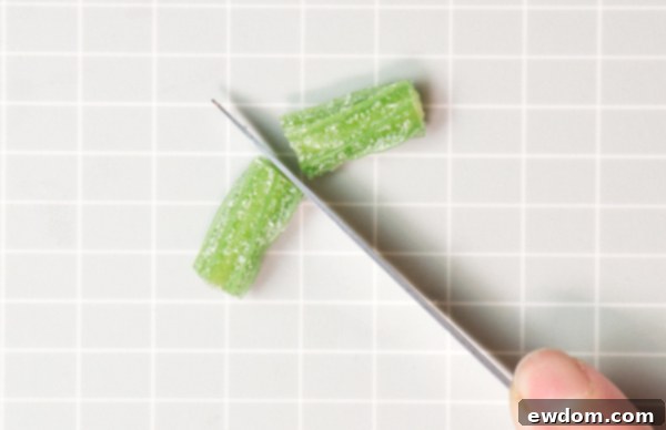 Candy Succulent Cake - how to make a succulent cake with edible candy succulents | by Erin Gardner for TheCakeBlog.com