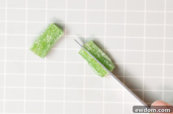 Candy Succulent Cake - how to make a succulent cake with edible candy succulents | by Erin Gardner for TheCakeBlog.com