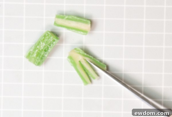 Candy Succulent Cake - how to make a succulent cake with edible candy succulents | by Erin Gardner for TheCakeBlog.com