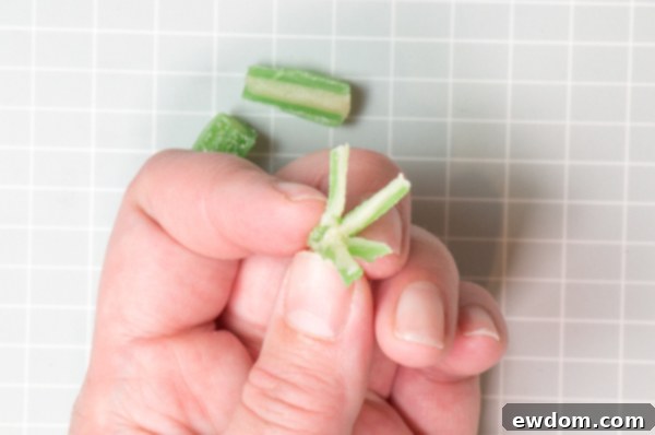 Candy Succulent Cake - how to make a succulent cake with edible candy succulents | by Erin Gardner for TheCakeBlog.com