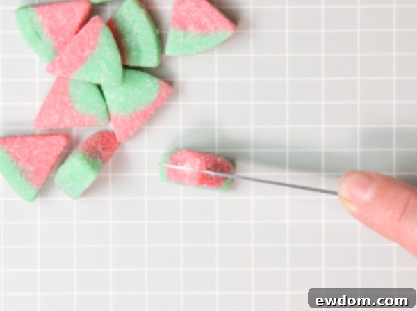 Candy Succulent Cake - how to make a succulent cake with edible candy succulents | by Erin Gardner for TheCakeBlog.com
