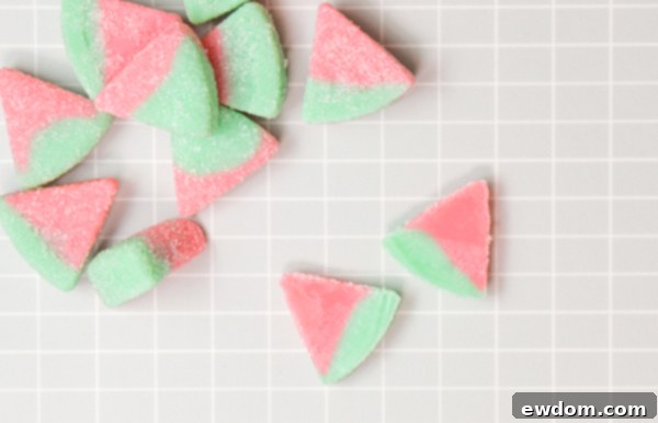 Candy Succulent Cake - how to make a succulent cake with edible candy succulents | by Erin Gardner for TheCakeBlog.com