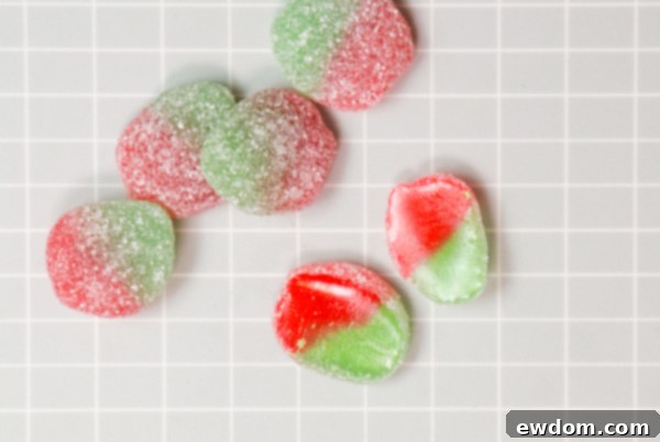 Candy Succulent Cake - how to make a succulent cake with edible candy succulents | by Erin Gardner for TheCakeBlog.com