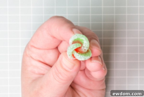 Candy Succulent Cake - how to make a succulent cake with edible candy succulents | by Erin Gardner for TheCakeBlog.com