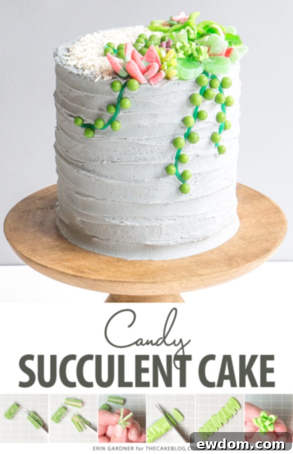 Candy Succulent Cake - how to make a succulent cake with edible candy succulents | by Erin Gardner for TheCakeBlog.com