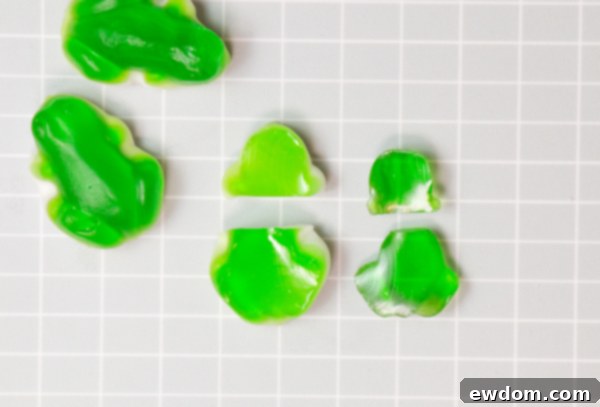 Candy Succulent Cake - how to make a succulent cake with edible candy succulents | by Erin Gardner for TheCakeBlog.com