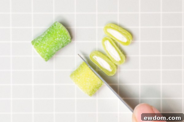 Candy Succulent Cake - how to make a succulent cake with edible candy succulents | by Erin Gardner for TheCakeBlog.com