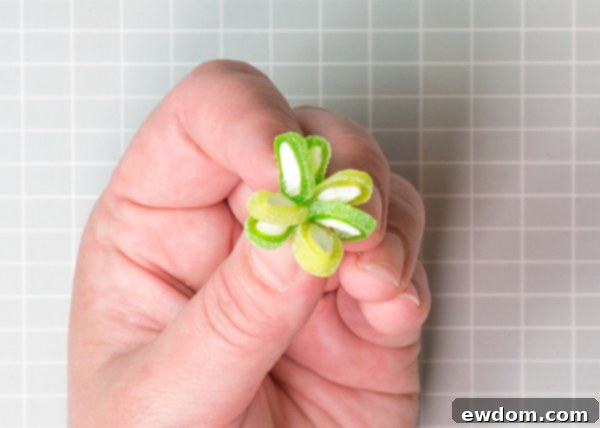 Candy Succulent Cake - how to make a succulent cake with edible candy succulents | by Erin Gardner for TheCakeBlog.com
