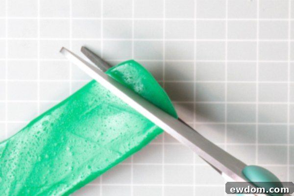 Candy Succulent Cake - how to make a succulent cake with edible candy succulents | by Erin Gardner for TheCakeBlog.com