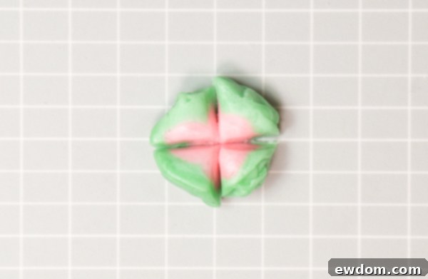 Candy Succulent Cake - how to make a succulent cake with edible candy succulents | by Erin Gardner for TheCakeBlog.com