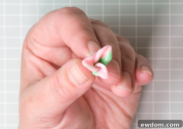 Candy Succulent Cake - how-to make a succulent cake with edible candy succulents | by Erin Gardner for TheCakeBlog.com