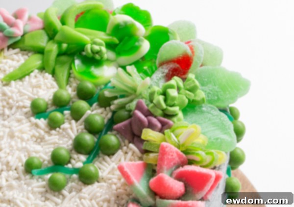 Candy Succulent Cake - how to make a succulent cake with edible candy succulents | by Erin Gardner for TheCakeBlog.com